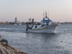 impacto social y económico del mundo de la caballa en Isla Cristina