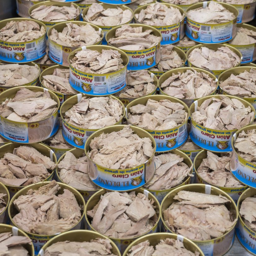 conservas de pescado para hostelería