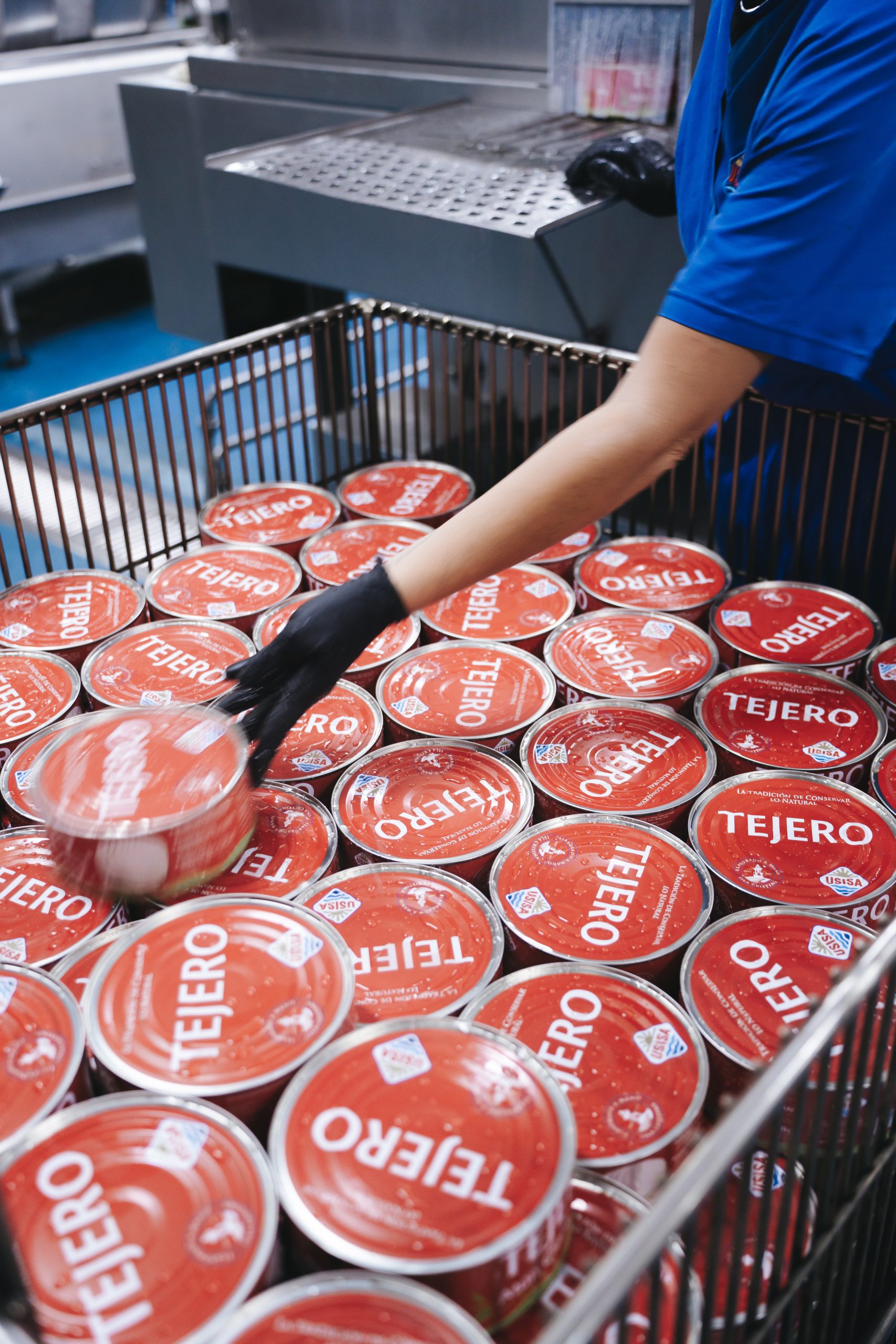 TEJERO – Yellowfin Tuna in olive oil 618KG. TEJERO - Yellowfin Tuna in olive oil 618KG. - Image 6