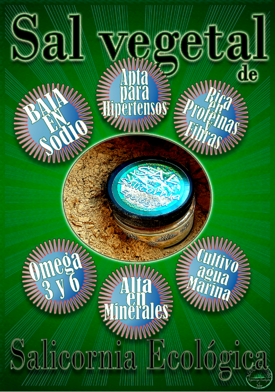 Sal de Salicornia Ecológica Sal de Salicornia Ecológica - Imagen 6