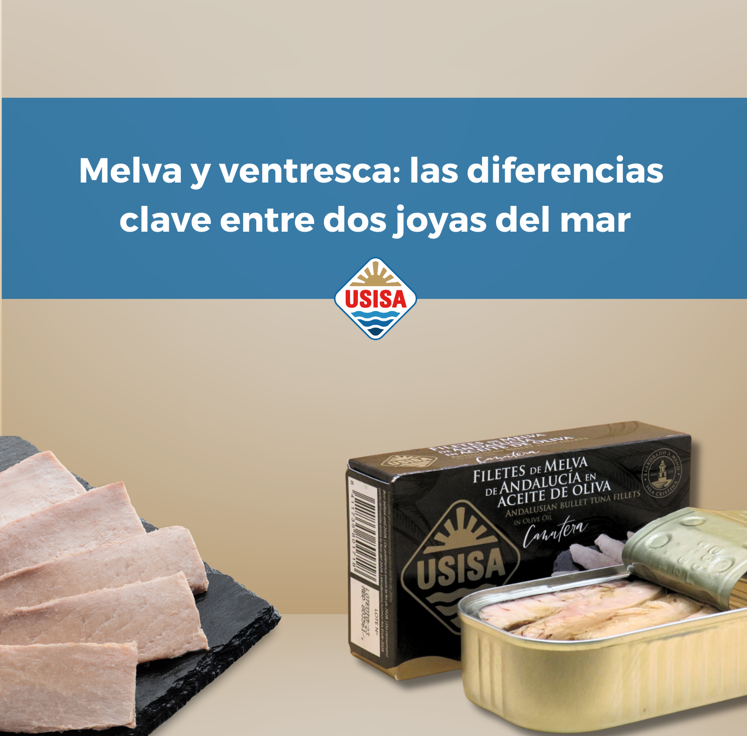 Melva y ventresca: diferencias clave entre dos joyas del mar
