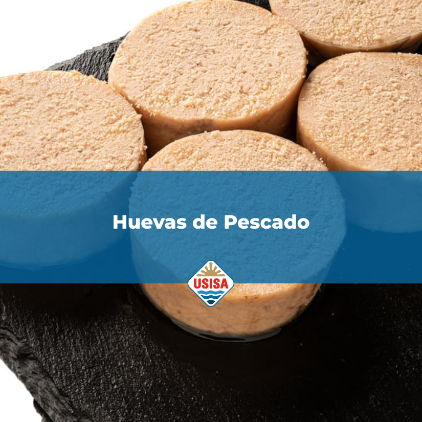 Inicio - USISA