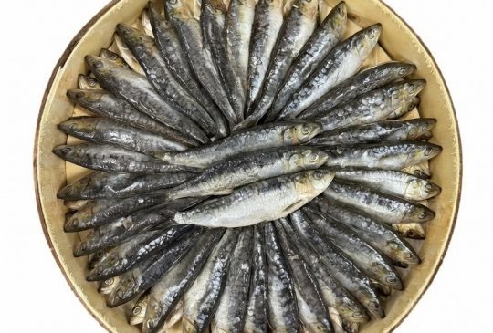 Tabal de 60-70 Sardinas en salazón