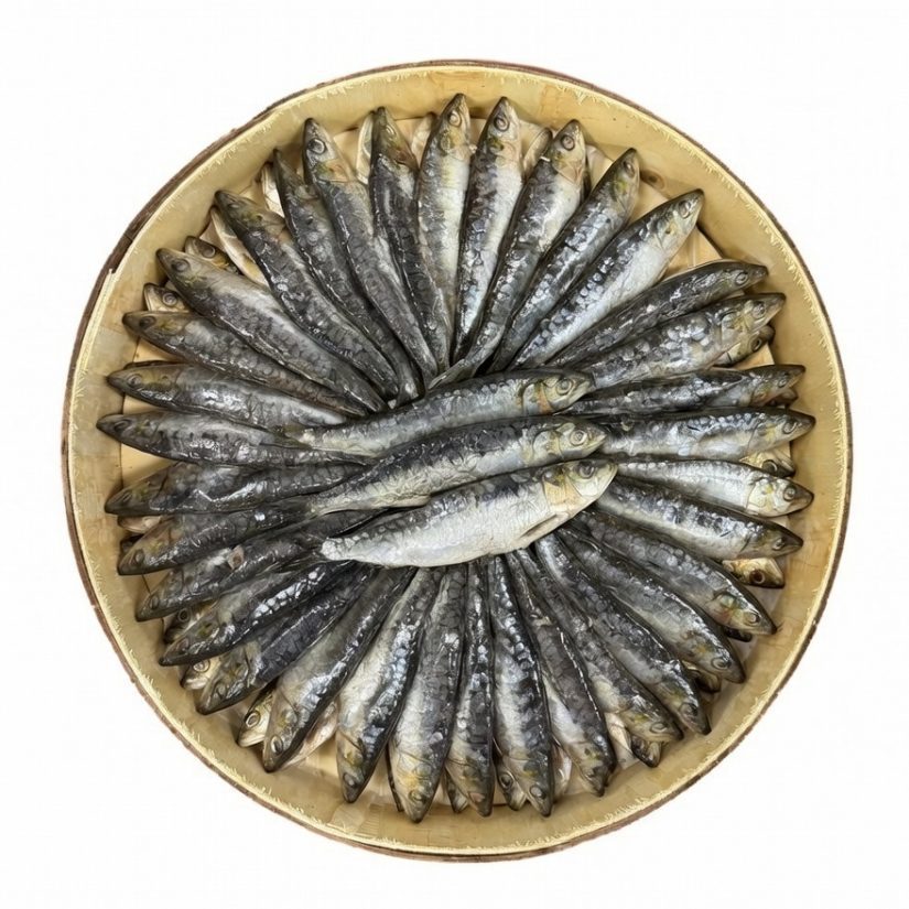 Tabal de 60-70 Sardinas en salazón - Imagen 4