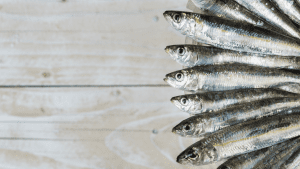 ¿Qué ocurre si comes sardinas en conserva dos veces por semana? Beneficios reales y cómo elegir calidad - USISA ¿Qué ocurre si comes sardinas en conserva dos veces por semana? Beneficios reales y cómo elegir calidad - USISA