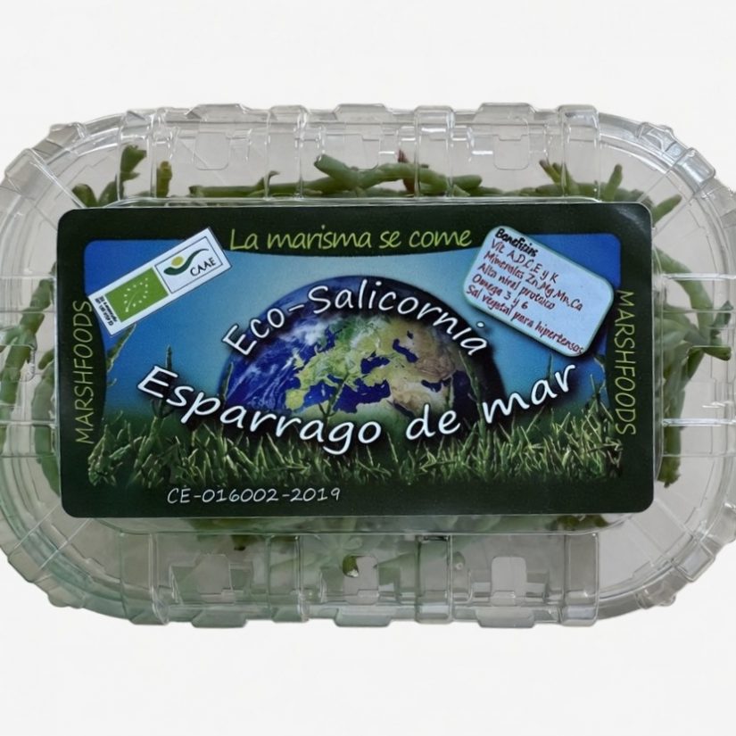 Salicornia ecológica (Espárrago de mar). Salicornia ecológica (Espárrago de mar). - Imagen 8