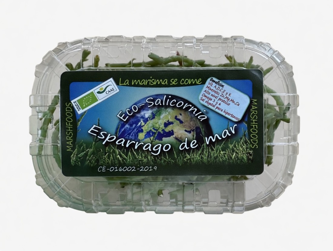 Salicornia ecológica (Espárrago de mar). Salicornia ecológica (Espárrago de mar).